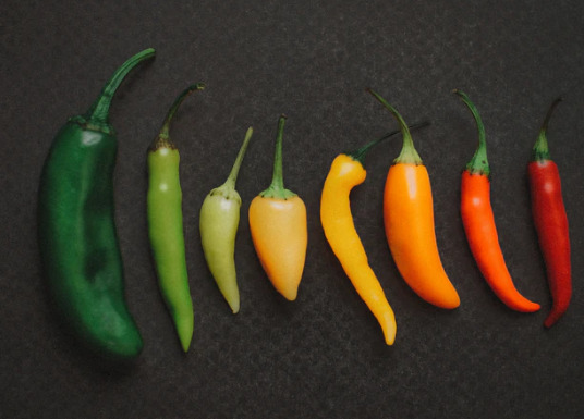 Selection of chili peppers for hot sauces