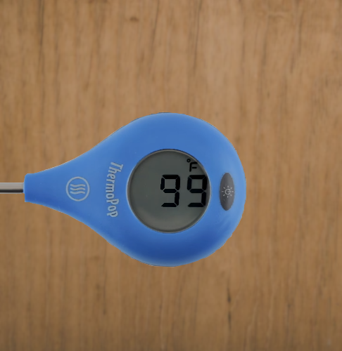 Nibble Me This: Product Review: Thermoworks Thermopop and TimeStick